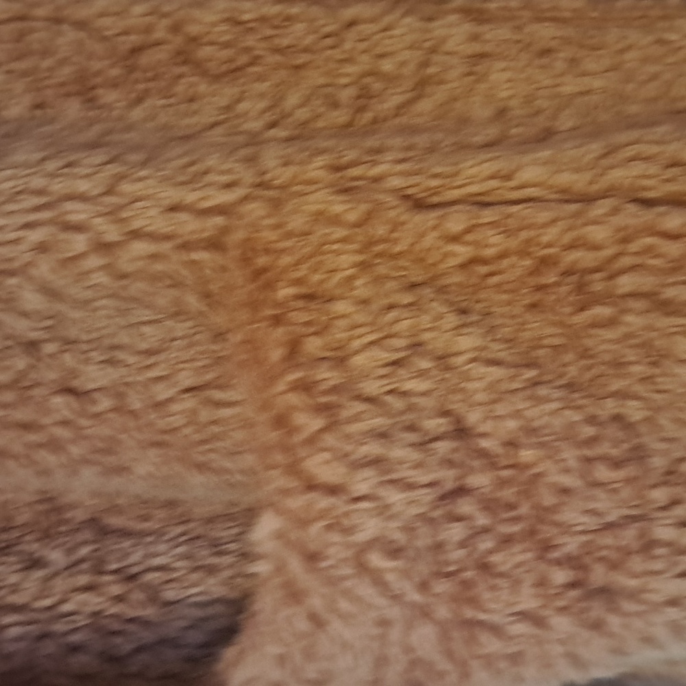 F21 Teddy Jacket - Picture 3 of 3